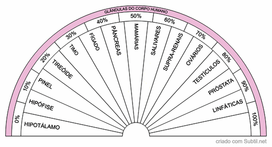 Glândulas do corpo humano