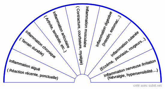 Type d'inflammation/ terrain inflammatoire