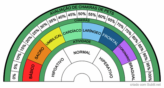 Avaliação de chakras de pets
