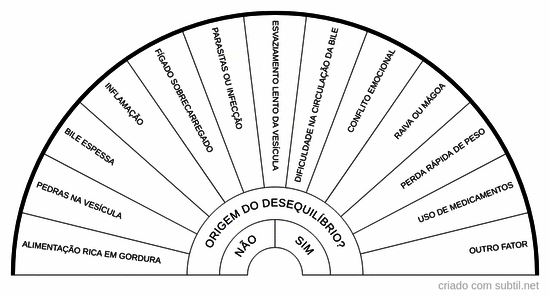 Investigativo - Vesícula biliar