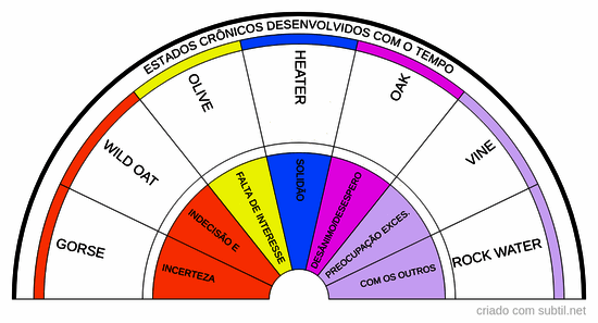 Florais de Bach - Os 7 auxiliares