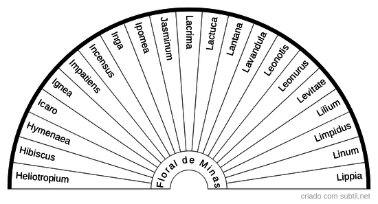 Floral de Minas