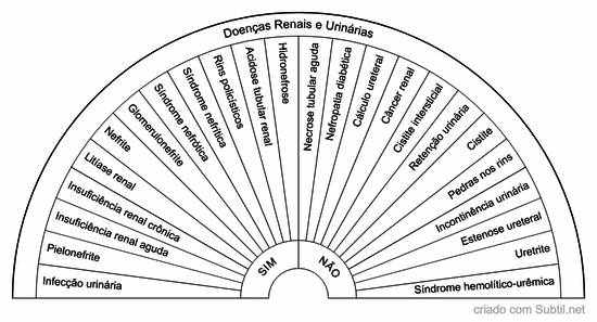Doenças renais e urinárias