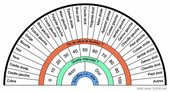 Anatomie - parties du corps humain