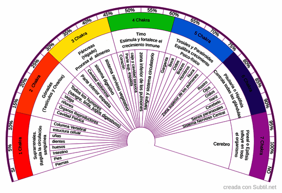 Chakras y organos