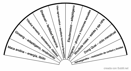 Sistema endocrino