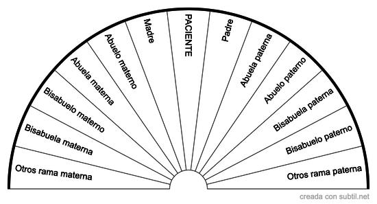 Árbol Genealógico