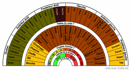 Analyse de la douleur chez le cheval