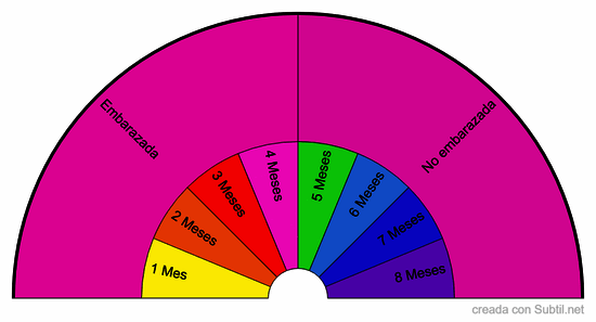 Embarazo y tiempo