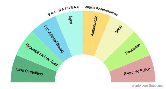 Causas das enfermidades - ens naturae