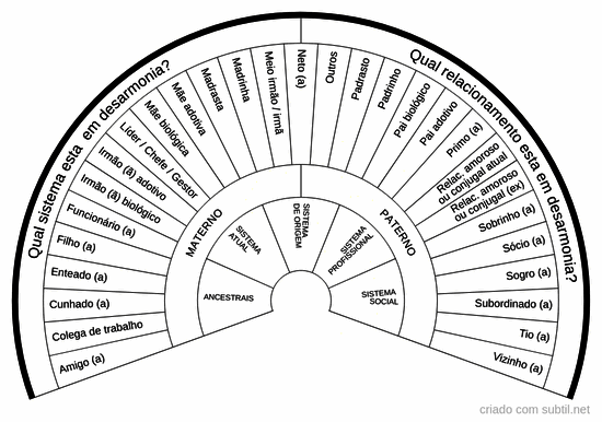 Relações sistêmicas - Const familiar