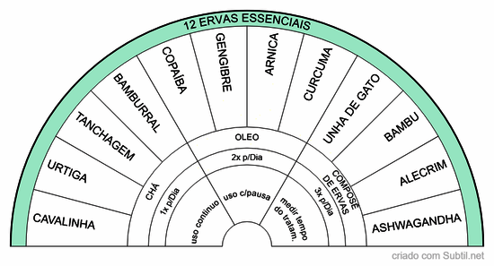 12 ervas essenciais para a saude