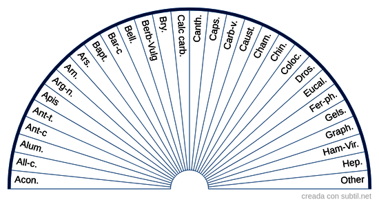 Homeopathic Polychrest Chart 1