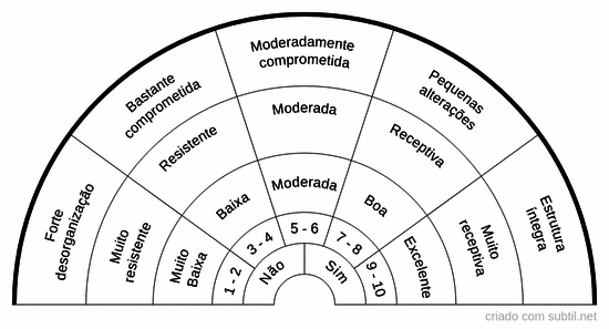 Medições corpos/chakras