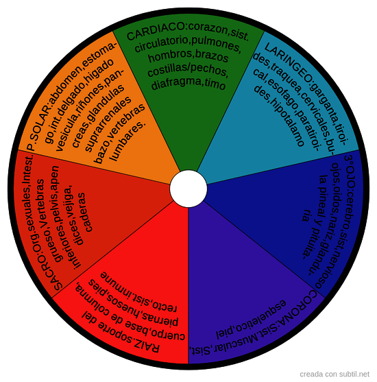 Chakras y cuerpo