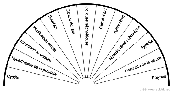 Maladies du système urogénital