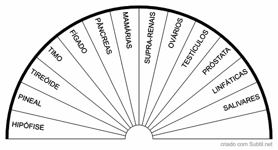 Glândulas
