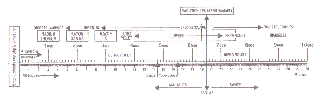 Echelle de Bovis - Règle d’évaluation de la vitalité en Ångström